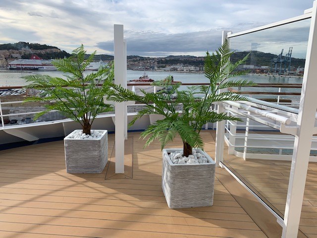 Two artificial plants on cruise deck