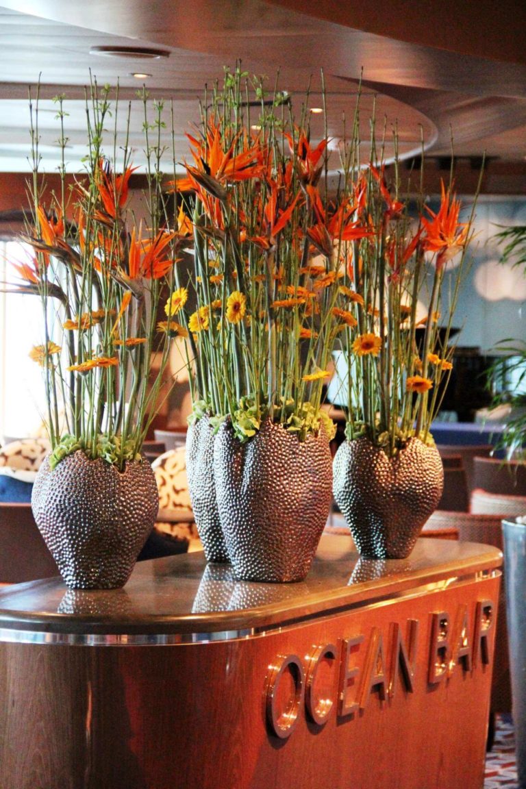 Orange flowers in front of Ocean bar