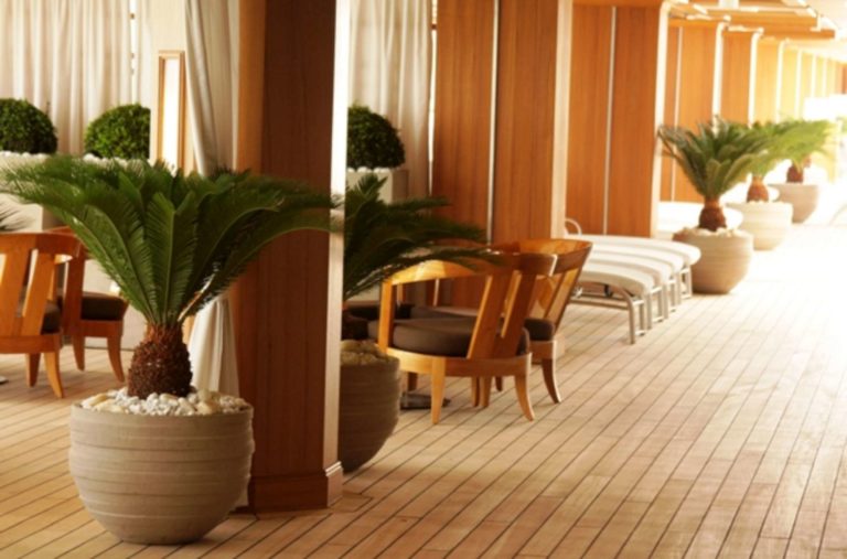 Palm tree in pot on cruise deck