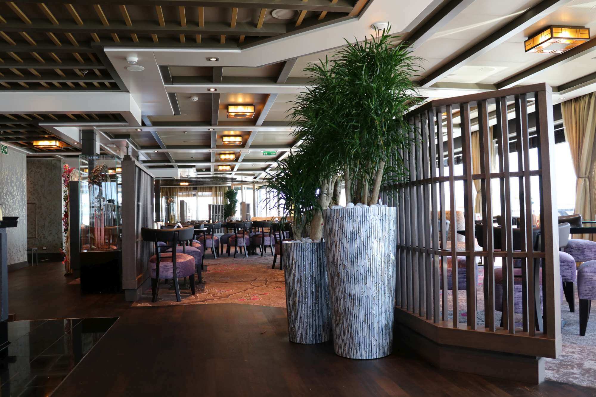 Large plants in a restaurant onboard a cruise ship