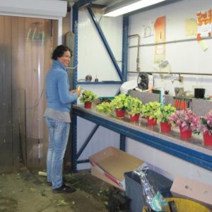 florist making flower arrangements