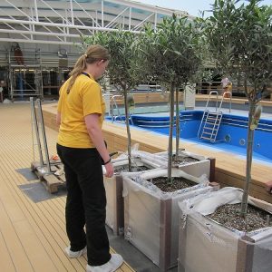 onboard florist planting plants on a newbuild ship